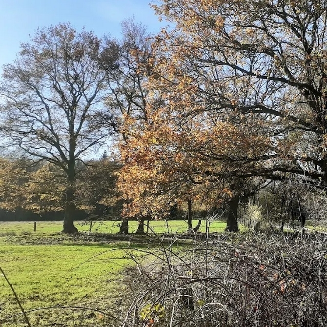 🟦 10 km wandeling 23-11-2025