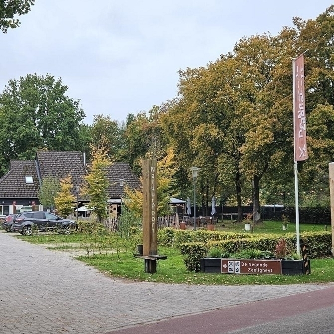 🟦 10 km wandeling 26-10-2025