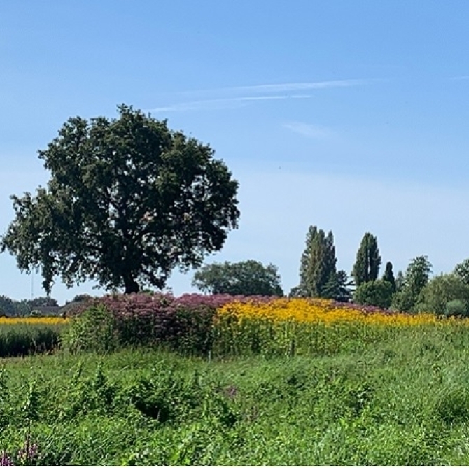 🟦 10 km wandeling 25-10-2026